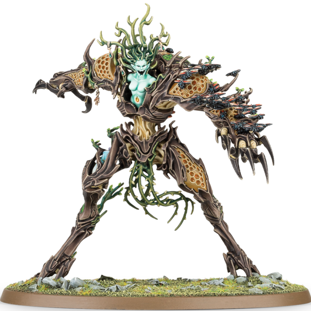 Drycha Hamadreth